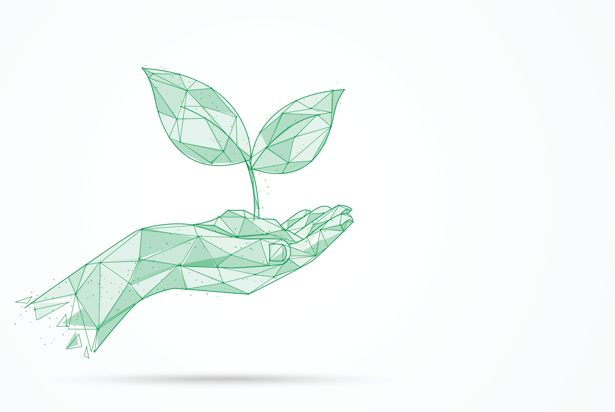 Sustainability Sustainability