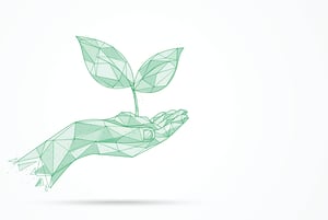 Sustainability Sustainability