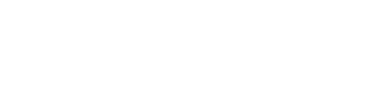 liferay logo white