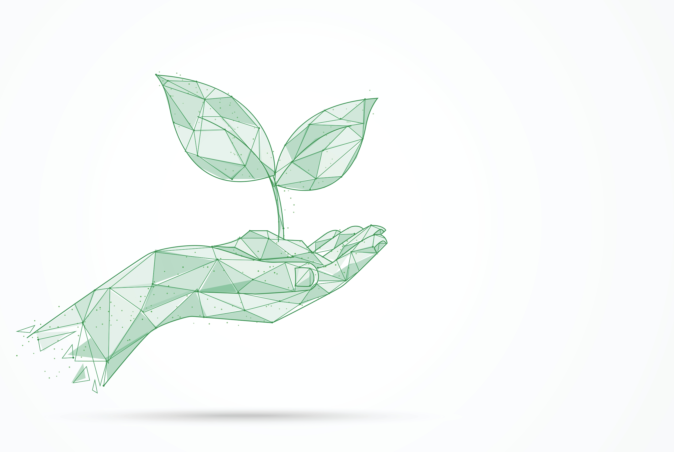 Sustainability Sustainability